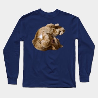Ginger cat stretch Long Sleeve T-Shirt